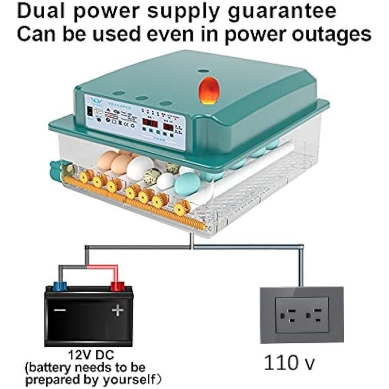عربست حاضنات بيض 36 درجة فهرنهايت من هيثيا، مراقبة الرطوبة، بيض الدوران التلقائي، حاضنة منزلية لتفقيس البيض، حاضنات بيض السمان مع شمعة بيض - Image 3